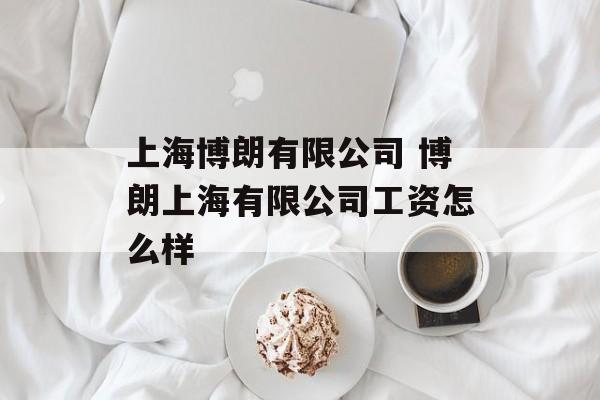 上海博朗有限公司 博朗上海有限公司工资怎么样-第1张图片-