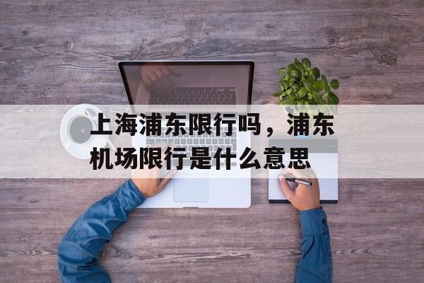 上海浦东限行吗，浦东机场限行是什么意思-第1张图片-