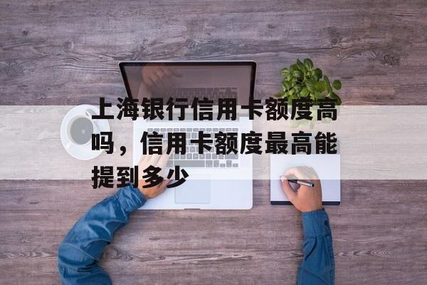 上海银行信用卡额度高吗，信用卡额度最高能提到多少-第1张图片-