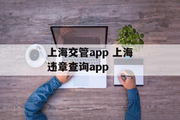 上海交管app 上海违章查询app-第1张图片-
