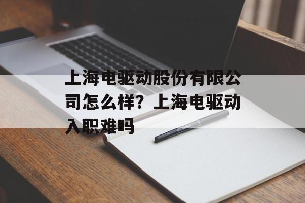 上海电驱动股份有限公司怎么样？上海电驱动入职难吗-第1张图片-
