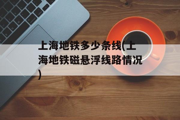 上海地铁多少条线(上海地铁磁悬浮线路情况)-第1张图片-