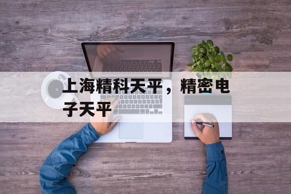 上海精科天平，精密电子天平-第1张图片-