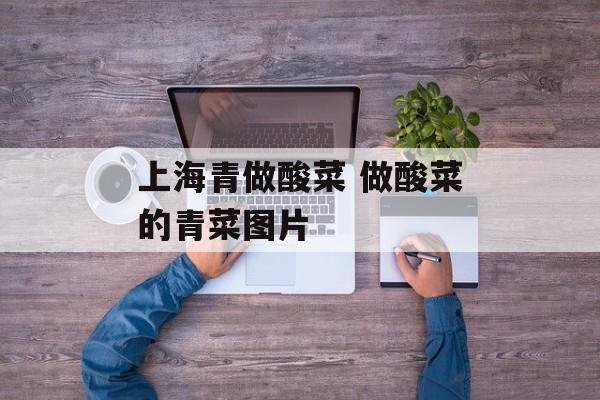 上海青做酸菜 做酸菜的青菜图片-第1张图片-