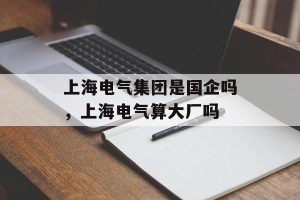 上海电气集团是国企吗，上海电气算大厂吗-第1张图片-