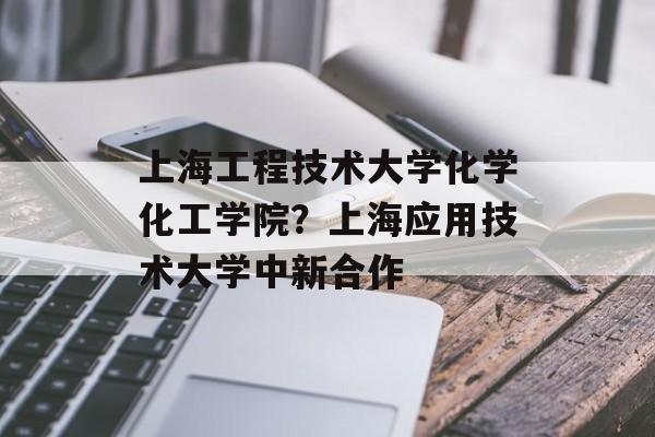 上海工程技术大学化学化工学院？上海应用技术大学中新合作-第1张图片-