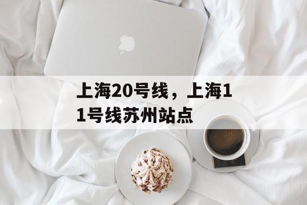 上海20号线，上海11号线苏州站点-第1张图片-