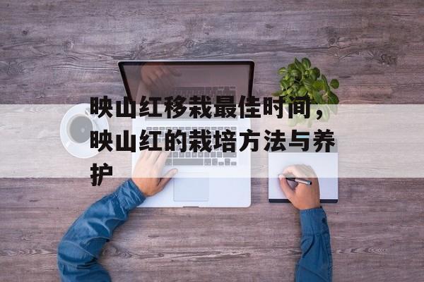 映山红移栽最佳时间，映山红的栽培方法与养护-第1张图片-