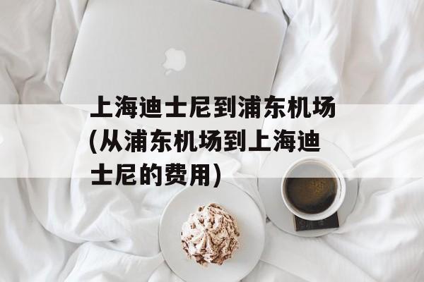 上海迪士尼到浦东机场(从浦东机场到上海迪士尼的费用)-第1张图片-