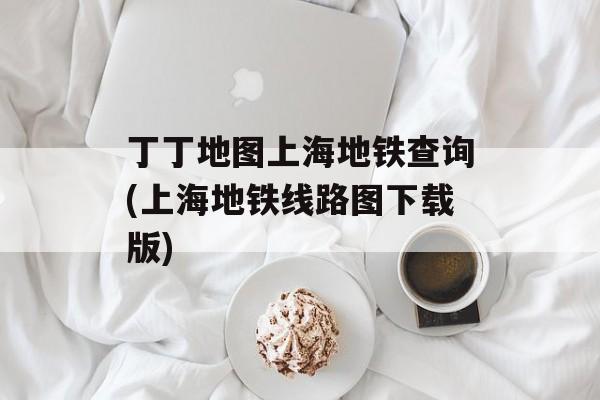 丁丁地图上海地铁查询(上海地铁线路图下载版)-第1张图片-