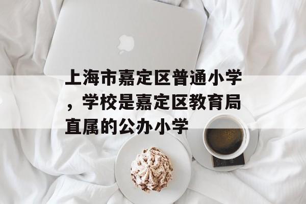 上海市嘉定区普通小学，学校是嘉定区教育局直属的公办小学-第1张图片-