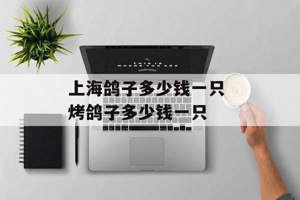 上海鸽子多少钱一只 烤鸽子多少钱一只-第1张图片-