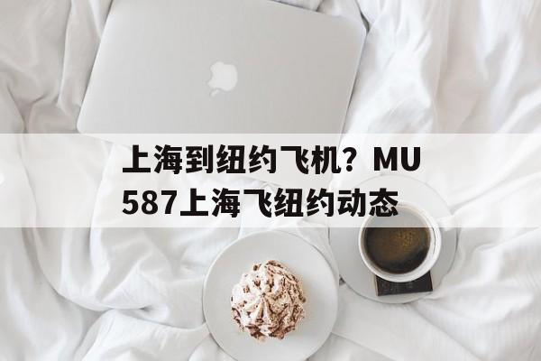 上海到纽约飞机？MU587上海飞纽约动态-第1张图片-