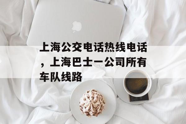 上海公交电话热线电话，上海巴士一公司所有车队线路-第1张图片-