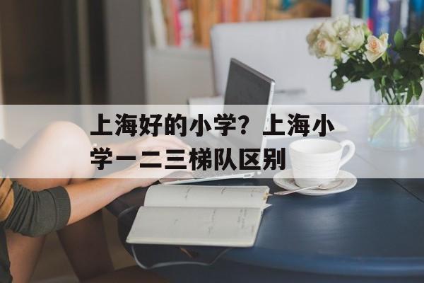 上海好的小学？上海小学一二三梯队区别-第1张图片-