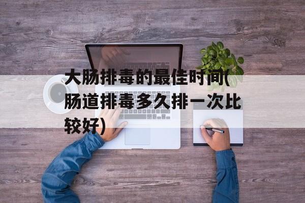 大肠排毒的最佳时间(肠道排毒多久排一次比较好)-第1张图片-