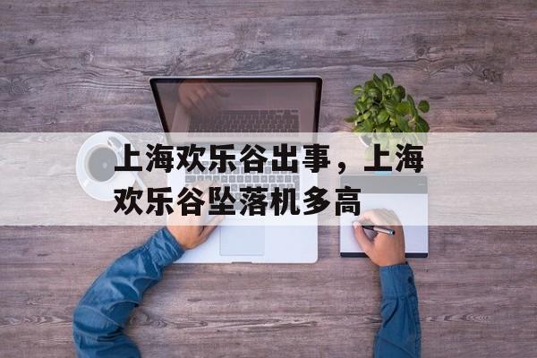 上海欢乐谷出事，上海欢乐谷坠落机多高-第1张图片-