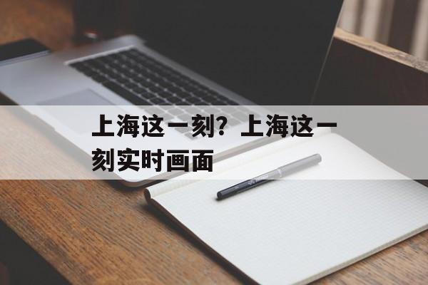 上海这一刻？上海这一刻实时画面-第1张图片-