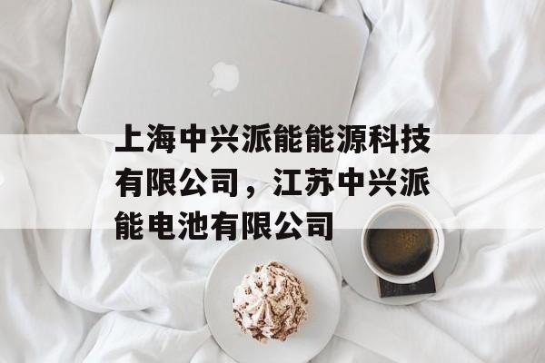上海中兴派能能源科技有限公司，江苏中兴派能电池有限公司-第1张图片-