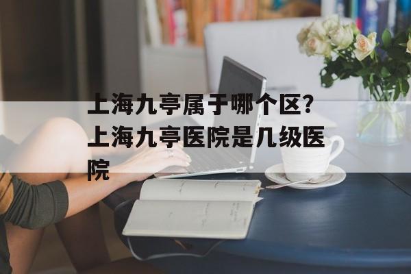 上海九亭属于哪个区？上海九亭医院是几级医院-第1张图片-