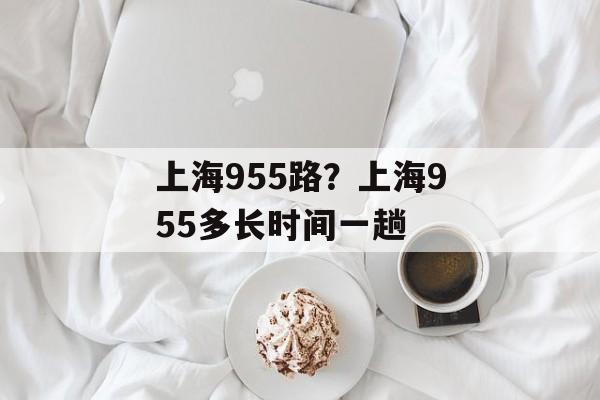 上海955路？上海955多长时间一趟-第1张图片-
