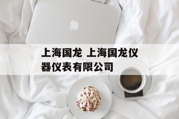 上海国龙 上海国龙仪器仪表有限公司-第1张图片-