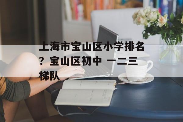 上海市宝山区小学排名？宝山区初中 一二三梯队-第1张图片-