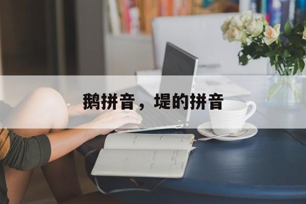 鹅拼音，堤的拼音-第1张图片-