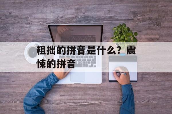 粗拙的拼音是什么？震悚的拼音-第1张图片-