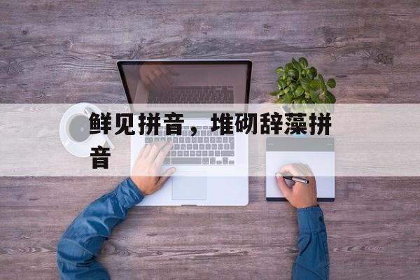 鲜见拼音，堆砌辞藻拼音-第1张图片-