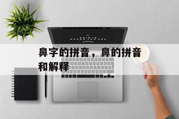 鼻字的拼音，鼻的拼音和解释-第1张图片-