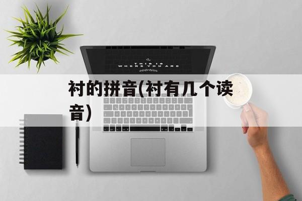 衬的拼音(衬有几个读音)-第1张图片-
