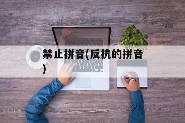 禁止拼音(反抗的拼音)-第1张图片-