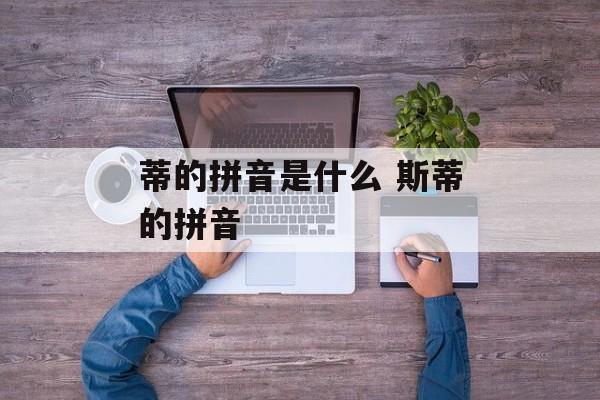 蒂的拼音是什么 斯蒂的拼音-第1张图片-