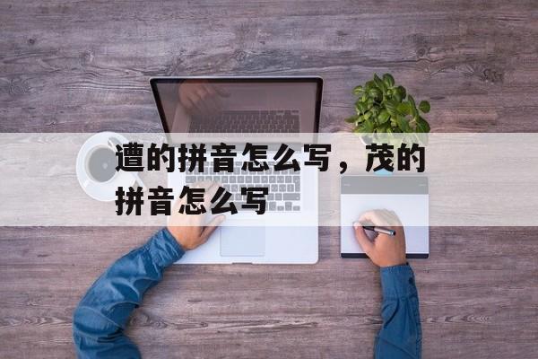 遭的拼音怎么写，茂的拼音怎么写-第1张图片-