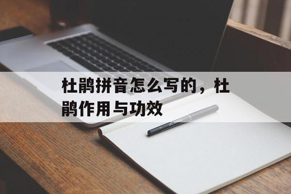 杜鹃拼音怎么写的，杜鹃作用与功效-第1张图片-