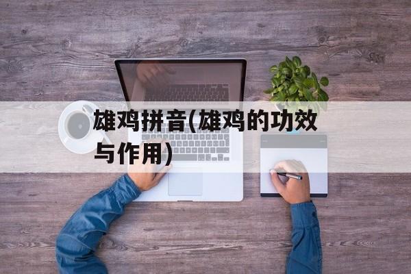 雄鸡拼音(雄鸡的功效与作用)-第1张图片-