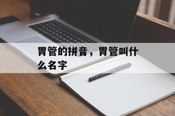 胃管的拼音，胃管叫什么名字-第1张图片-