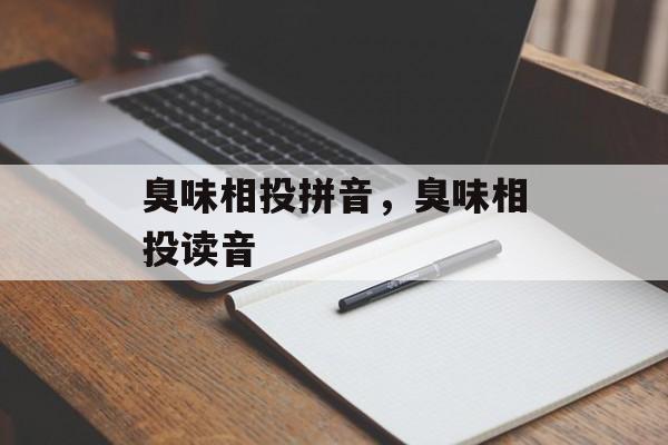 臭味相投拼音，臭味相投读音-第1张图片-