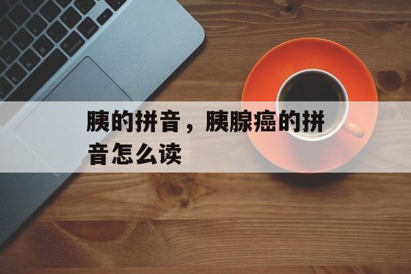 胰的拼音，胰腺癌的拼音怎么读-第1张图片-