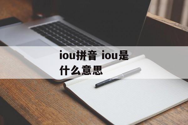 iou拼音 iou是什么意思-第1张图片-