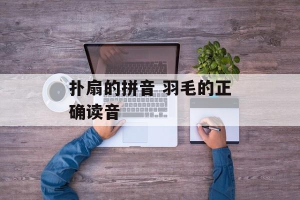 扑扇的拼音 羽毛的正确读音-第1张图片-