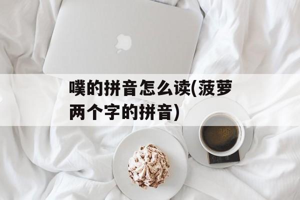 噗的拼音怎么读(菠萝两个字的拼音)-第1张图片-