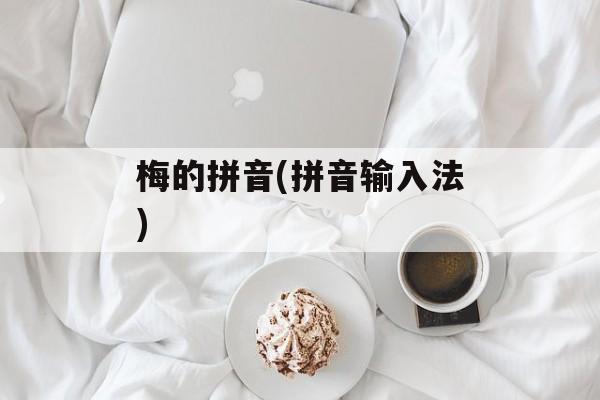 梅的拼音(拼音输入法)-第1张图片-