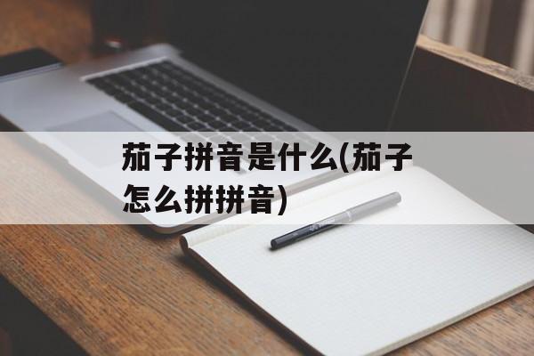 茄子拼音是什么(茄子怎么拼拼音)-第1张图片-