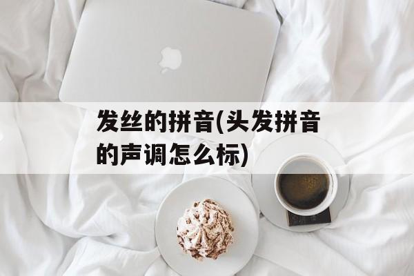 发丝的拼音(头发拼音的声调怎么标)-第1张图片-