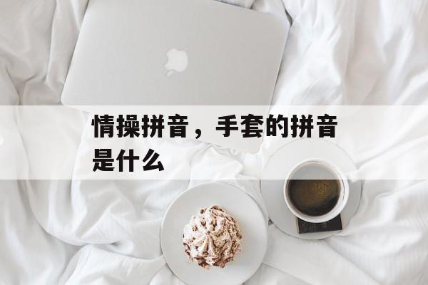 情操拼音，手套的拼音是什么-第1张图片-