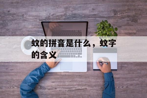 蚊的拼音是什么，蚊字的含义-第1张图片-