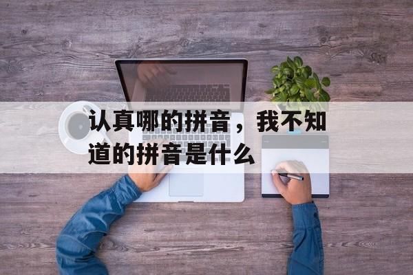 认真哪的拼音，我不知道的拼音是什么-第1张图片-