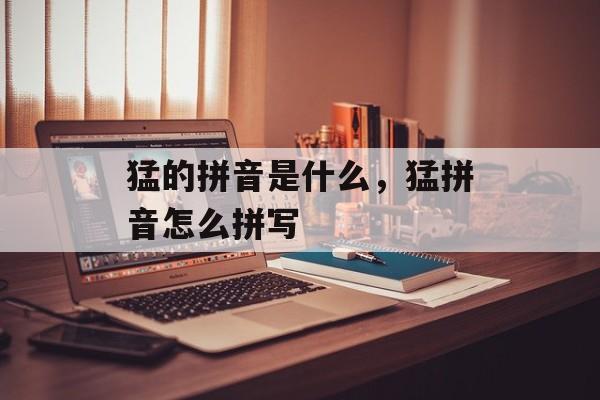 猛的拼音是什么，猛拼音怎么拼写-第1张图片-